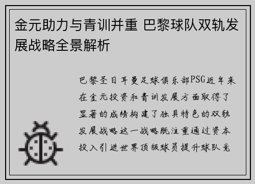 金元助力与青训并重 巴黎球队双轨发展战略全景解析
