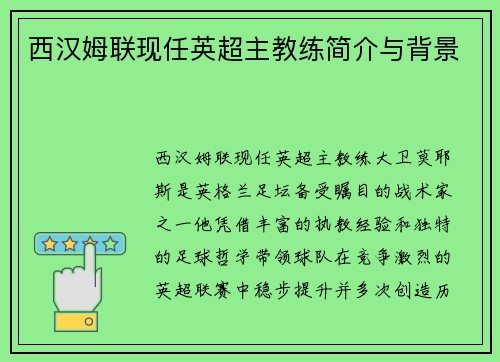 西汉姆联现任英超主教练简介与背景